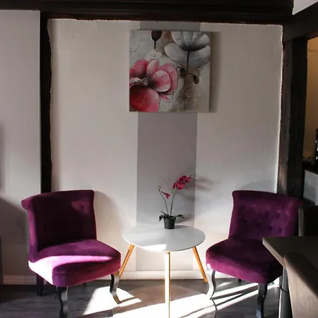 Les Violettes * Colmar