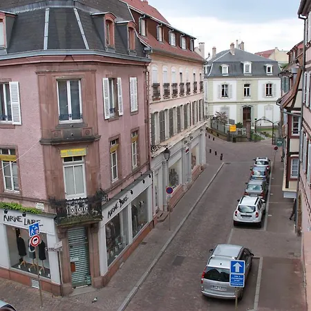 Les Violettes Apartman Colmar
