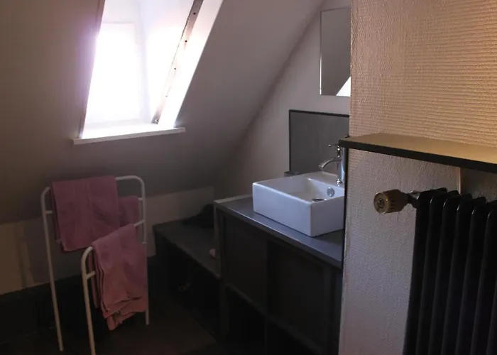 Apartment Les Violettes Colmar