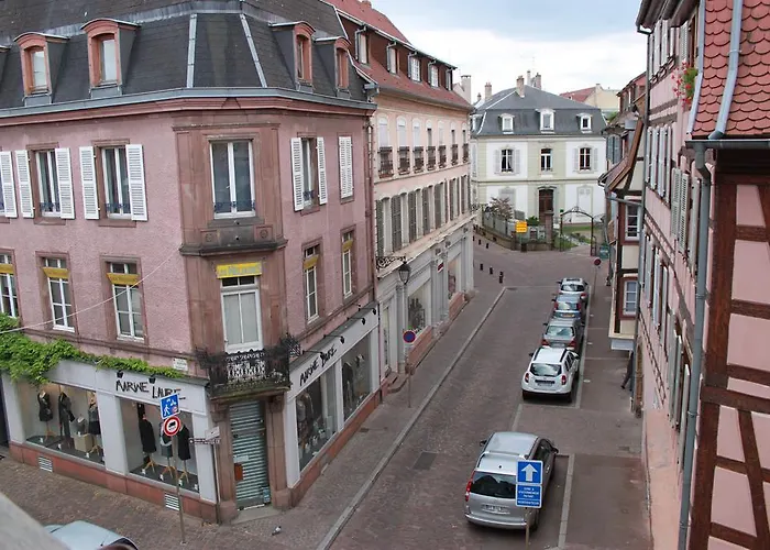 Les Violettes Lejlighed Colmar